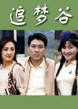 追梦谷 (2003)海报