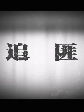 追匪 (2015)海报
