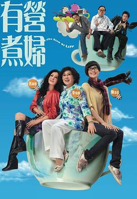 有营煮妇 (2009)海报