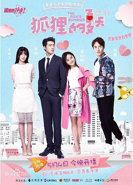 狐狸的夏天 第二季 (2017)海报