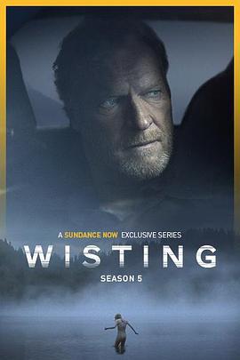 警探维斯廷 第五季 Wisting Season 5 (2025)海报