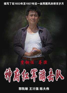 神府红军游击队 (2008)海报
