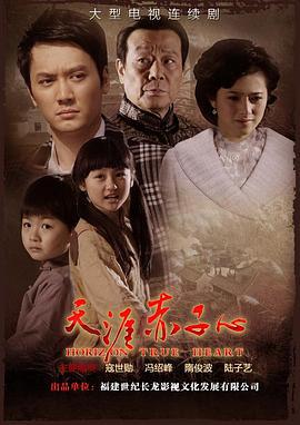 天涯赤子心 (2010)海报