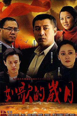 如歌的岁月 (2007)海报