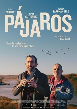群鸟东径 Pájaros (2023)海报