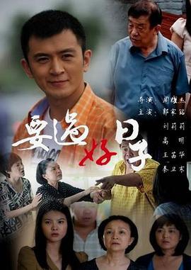 要过好日子 (2012)海报