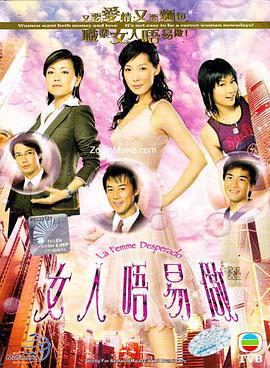 女人不易做 女人唔易做 (2006)海报