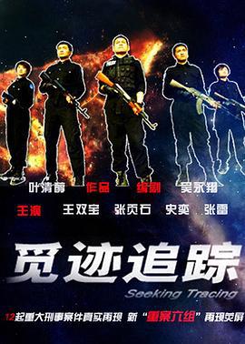觅迹追踪 (2009)海报