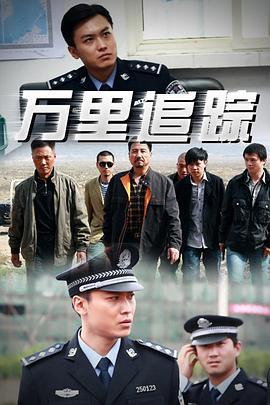 万里追踪 (2011)海报