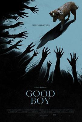 好狗狗 Good Boy (2025)海报