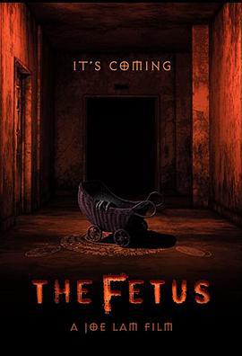 胎儿 The Fetus (2025)海报