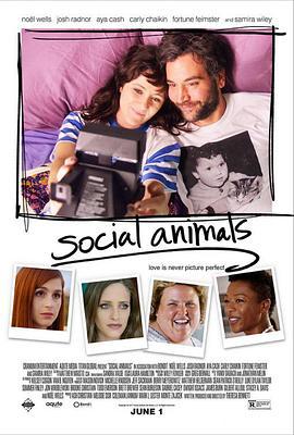 社交动物 Social Animals (2018)海报
