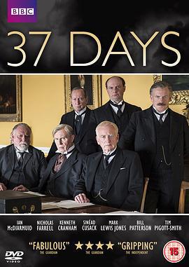 战前37天 37 Days (2014)海报