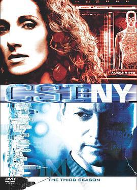 犯罪现场调查：纽约 第三季 CSI: NY Season 3 (2006)海报