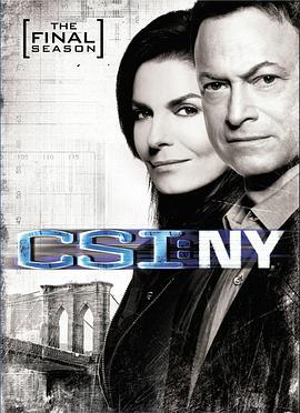 犯罪现场调查：纽约 第九季 CSI: NY Season 9 (2012)海报