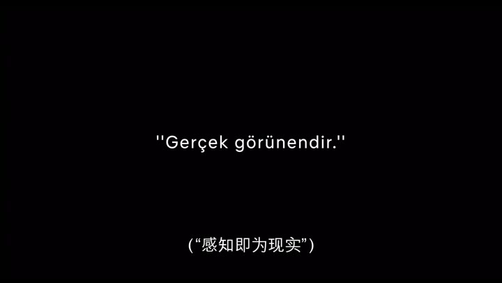直线篡位 Kuş Uçuşu (2022)海报