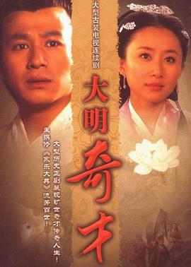 大明奇才 (2008)海报