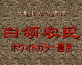 白领农民 (1998)海报