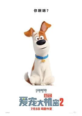 爱宠大机密2 The Secret Life of Pets 2 (2019)海报