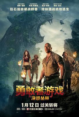 勇敢者游戏：决战丛林 Jumanji: Welcome to the Jungle (2017)海报
