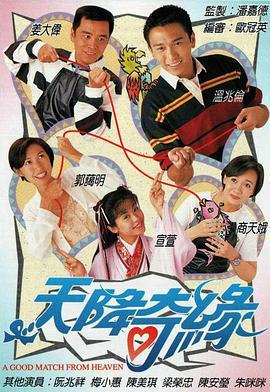 天降奇缘 天降奇缘 (1995)海报