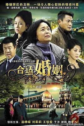 合适婚姻 (2010)海报