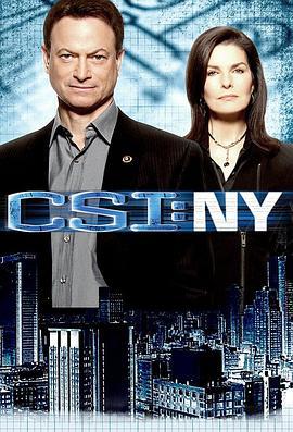 犯罪现场调查：纽约 第七季 CSI: NY Season 7 (2010)海报