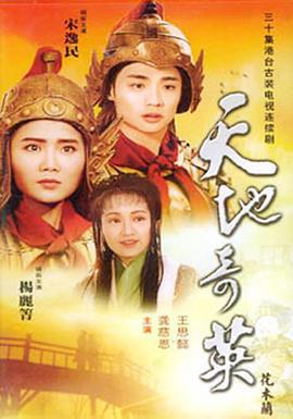 天地奇英花木兰 (1996)海报