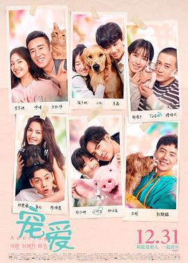 宠爱 (2019)海报