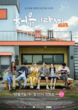 因为是第一次 처음이라서 (2015)海报