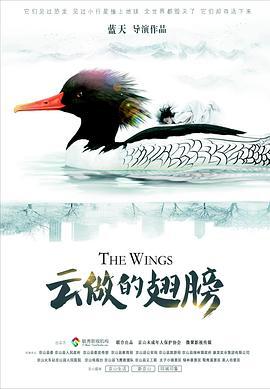 云做的翅膀 (2020)海报