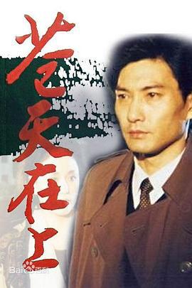 苍天在上 (1995)海报