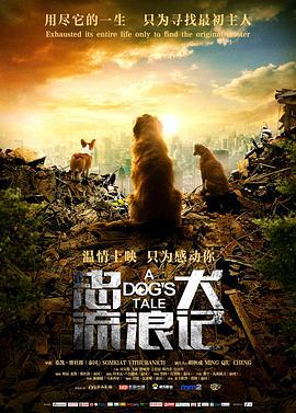 忠犬流浪记 (2021)海报