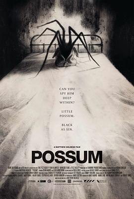 负鼠 Possum (2018)海报