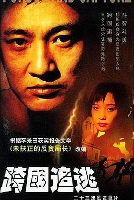 跨国追逃 (2002)海报