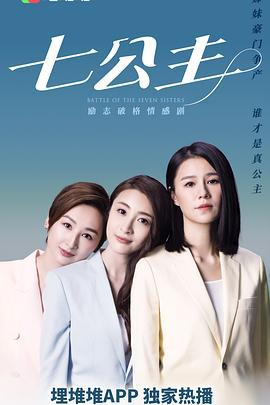 七公主 (2021)海报