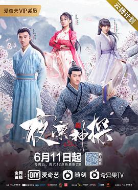 夜凛神探 第一季 (2021)海报