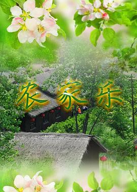 农家乐 (2005)海报