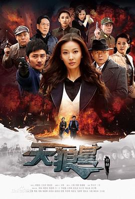 天狼星行动 (2013)海报