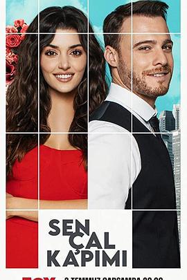 轻叩心扉 Sen Çal Kapımı (2020)海报