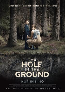 地面之洞 The Hole in the Ground (2019)海报
