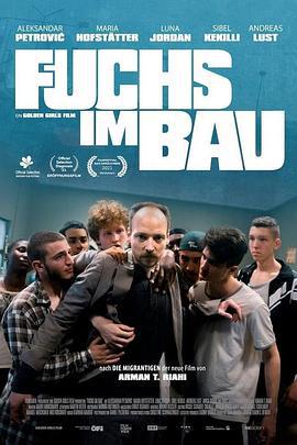 狐狸躲进洞 Fuchs im Bau (2020)海报