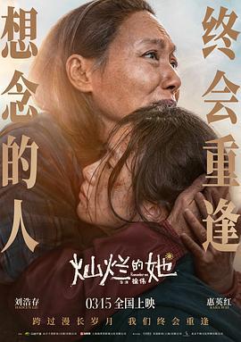 灿烂的她 (2024)海报