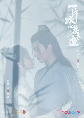 一片冰心在玉壶 (2021)海报