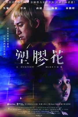 塑胶花 塑膠花 (2024)海报