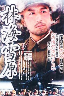 林海雪原 (2004)海报