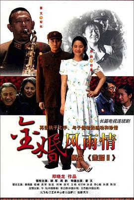 金婚·风雨情 (2010)海报