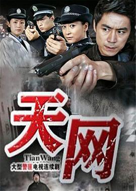天网 (2011)海报