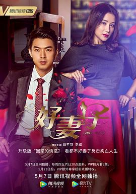 好妻子 (2020)海报