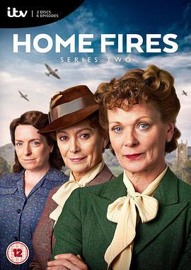 战火家园 第二季 Home Fires Season 2 (2016)海报
